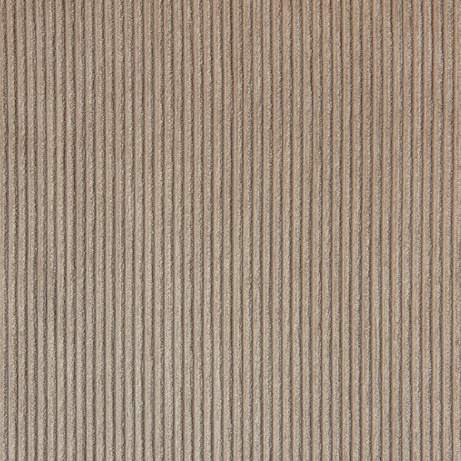 Fila LS 206 maxi, Jagger kangas