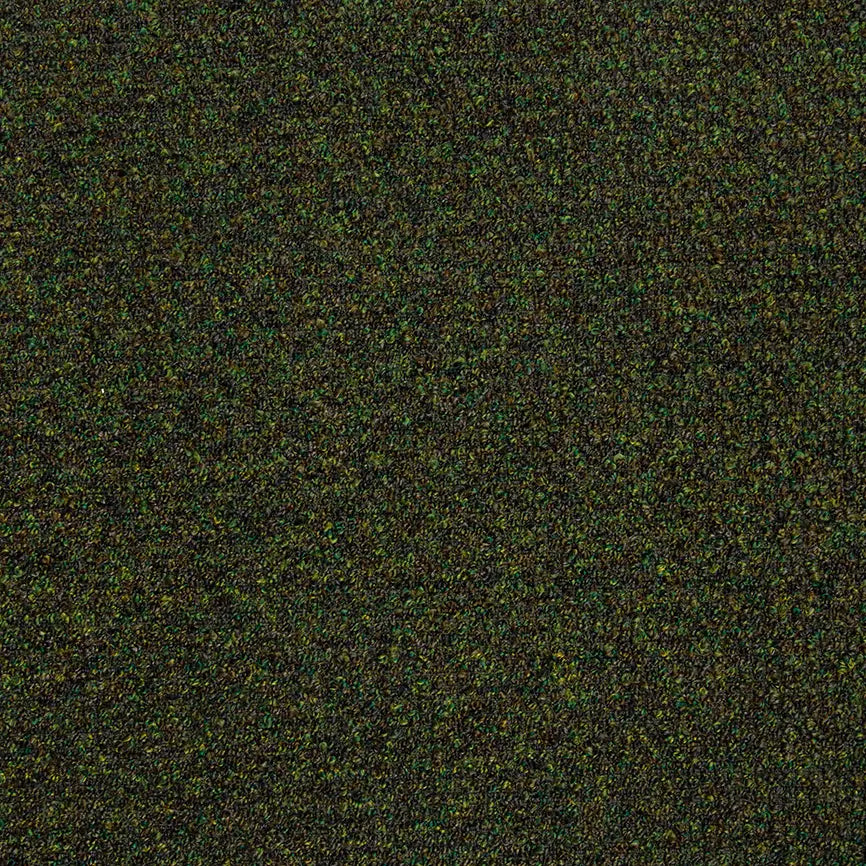 Viva I209 + B209 | Alfons 7 | tere